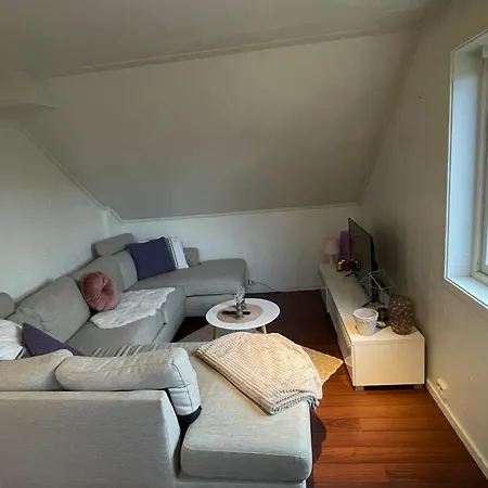 Northern Homes - Loft