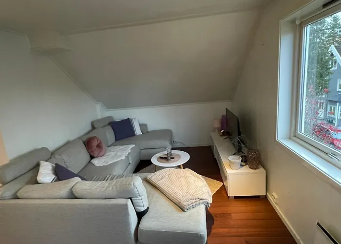 Northern Homes - Loft